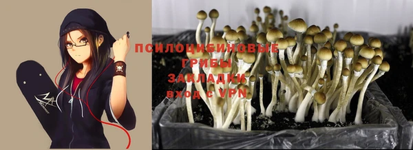 винт Армянск
