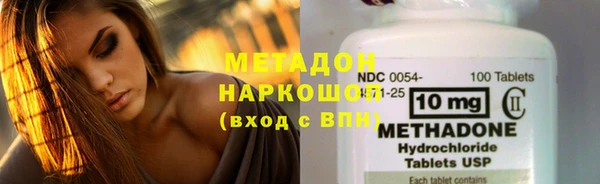 ГАЛЛЮЦИНОГЕННЫЕ ГРИБЫ Аркадак