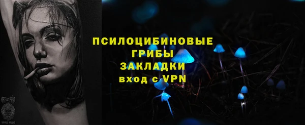 винт Армянск