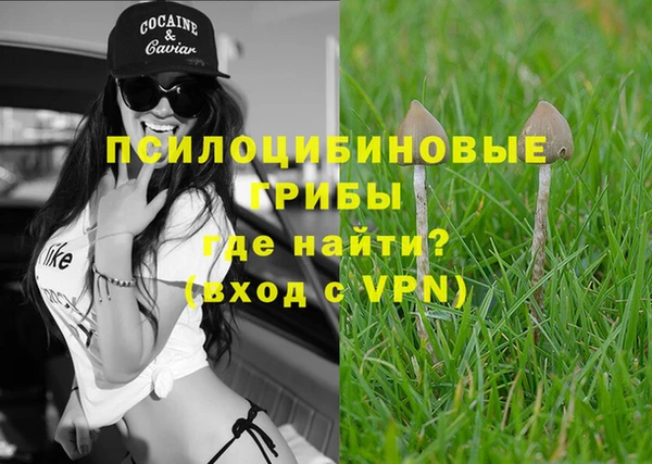 ГАЛЛЮЦИНОГЕННЫЕ ГРИБЫ Аркадак